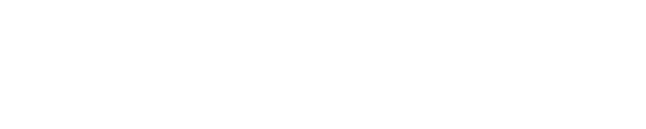 Dumerth Logo White New Limit